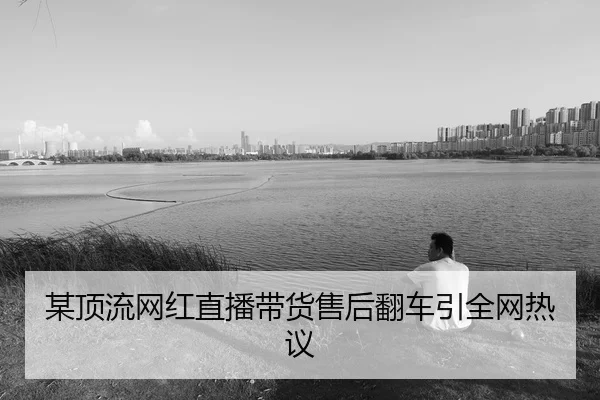 mou-ding-liu-wang-hong-zhi-bo-dai-huo-shou-hou-fan-che-yin-quan-wang-re-yi-2-142.jpg
